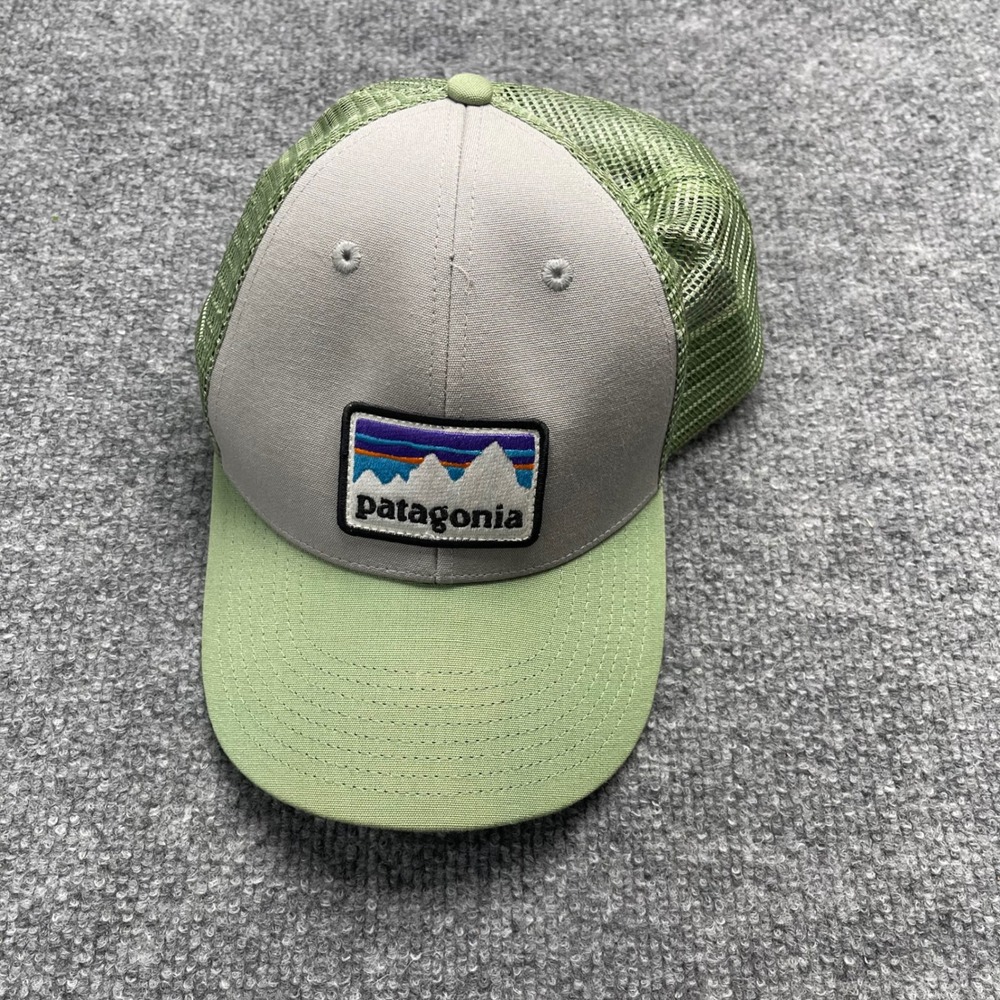 Patagonia Fitz Roy Mountain Trucker Hat Grey Green Mesh Snapback Cap